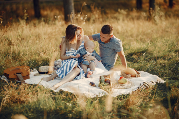 family picnics