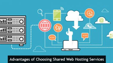 Guide On Web Hosting Services In Website Development?