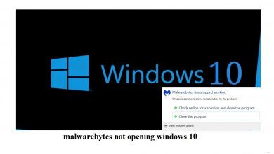 malwarebytes not opening windows 10