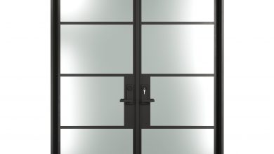 French Steel Door