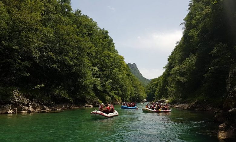 Rafting Tara in Montenegro is amazing adventure