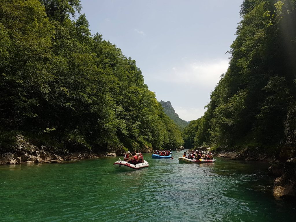 Rafting Tara in Montenegro is amazing adventure