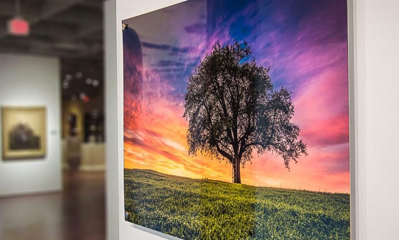 Why you should consider Acrylic prints