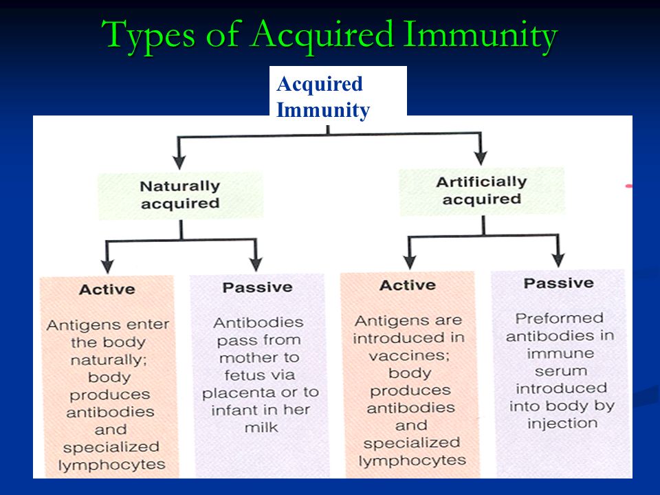 acquired immunity