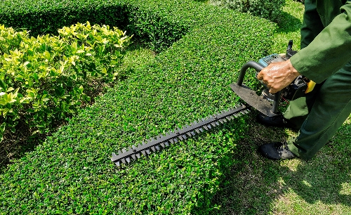 Landscaping Services Provider Company in Miami