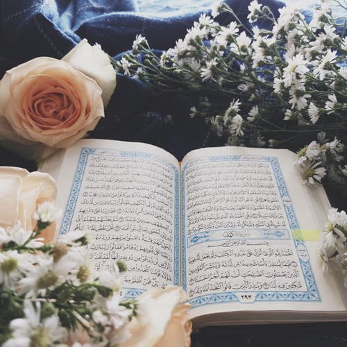 quran memorization online