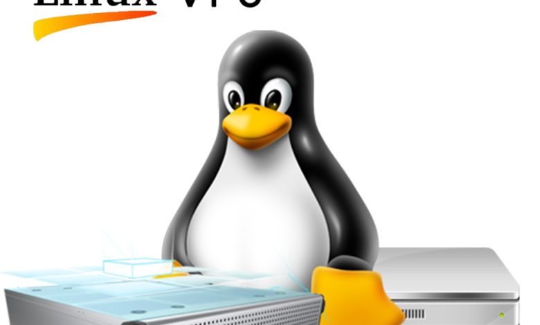 Linux VPS hosting