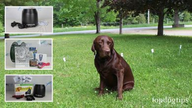 portable electric fence for dogs