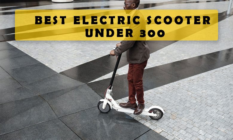 Best electric scooter under 300