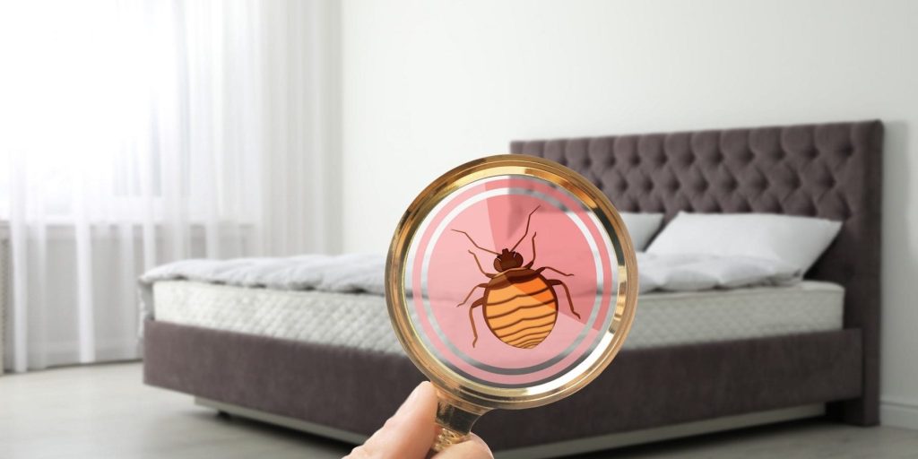 bed bug exterminating