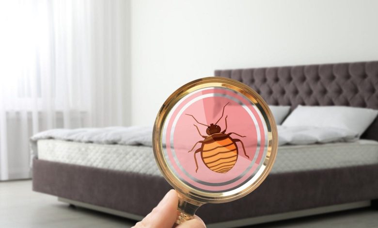 bed bug exterminating